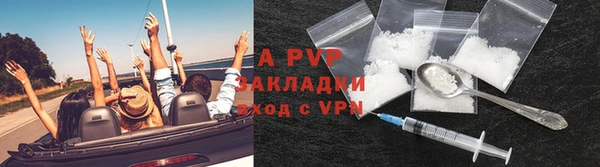 прущие грибы Армянск