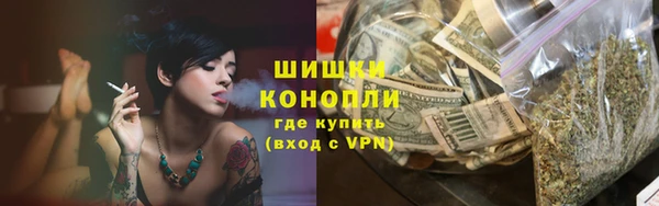 прущие грибы Армянск
