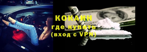 прущие грибы Армянск