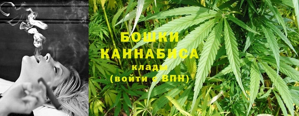 прущие грибы Армянск