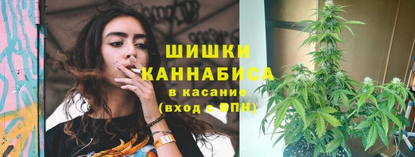 прущие грибы Армянск