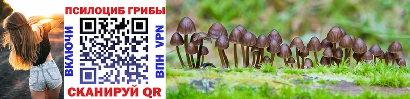 Галлюциногенные грибы GOLDEN TEACHER  Ленск 